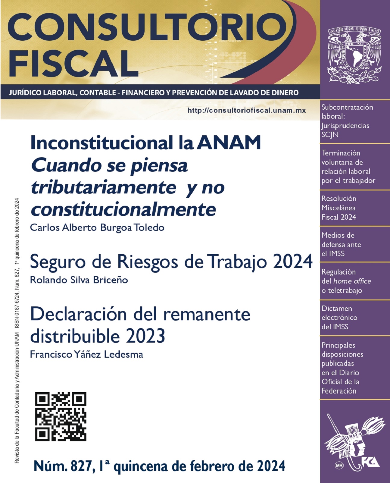 Inconstitucional la ANAM Cuando se piensa tributariamente y no constitucionalmente